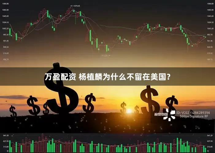 万盈配资 杨植麟为什么不留在美国？
